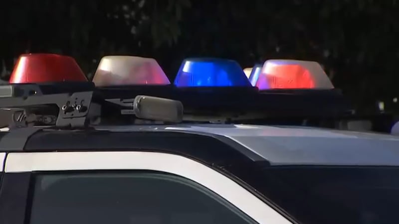 File photo of Las Vegas Metro Police.