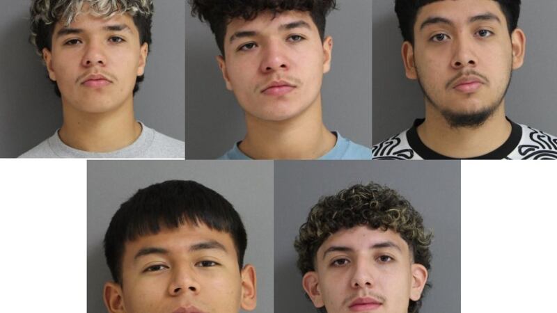 Angel Alejandro Madera, Joshua Gutiérrez, Joachin Noe Gutiérrez, Junior López y Alejondro...