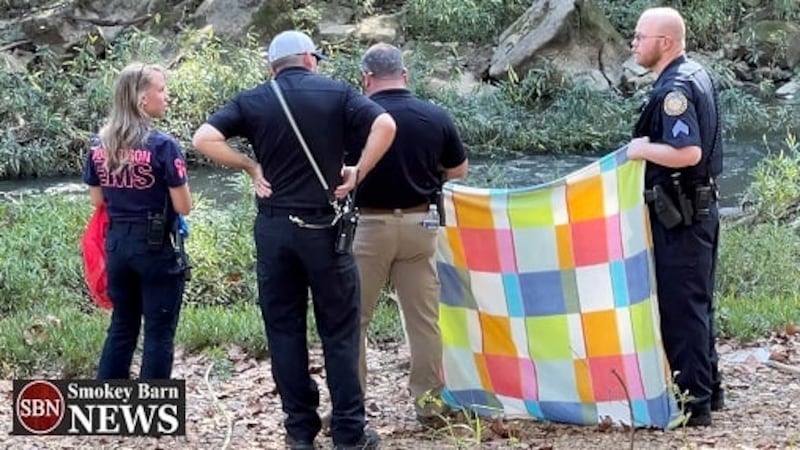 Menor de edad encuentra un cráneo humano cerca de un arroyo en Springfield