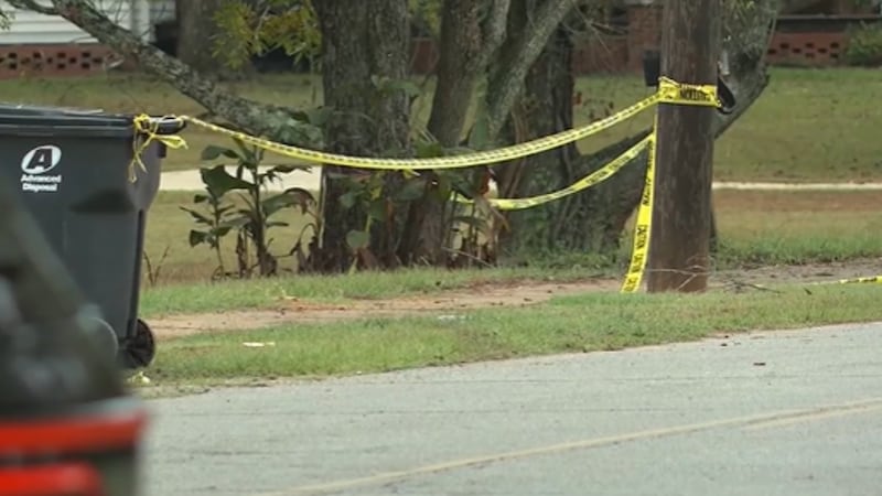 Mass shooting in Vienna, Georgia