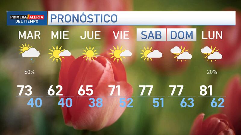 Los niveles de polen se mantienen altos