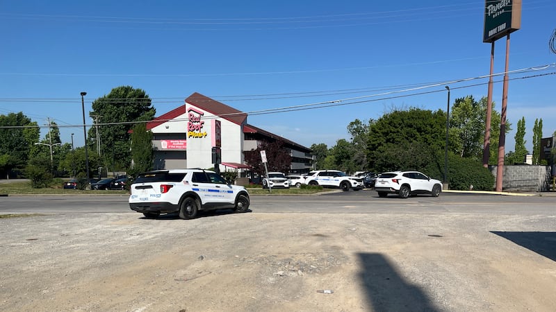 A woman is in police custody in connection with a stabbing that happened Sunday morning in...