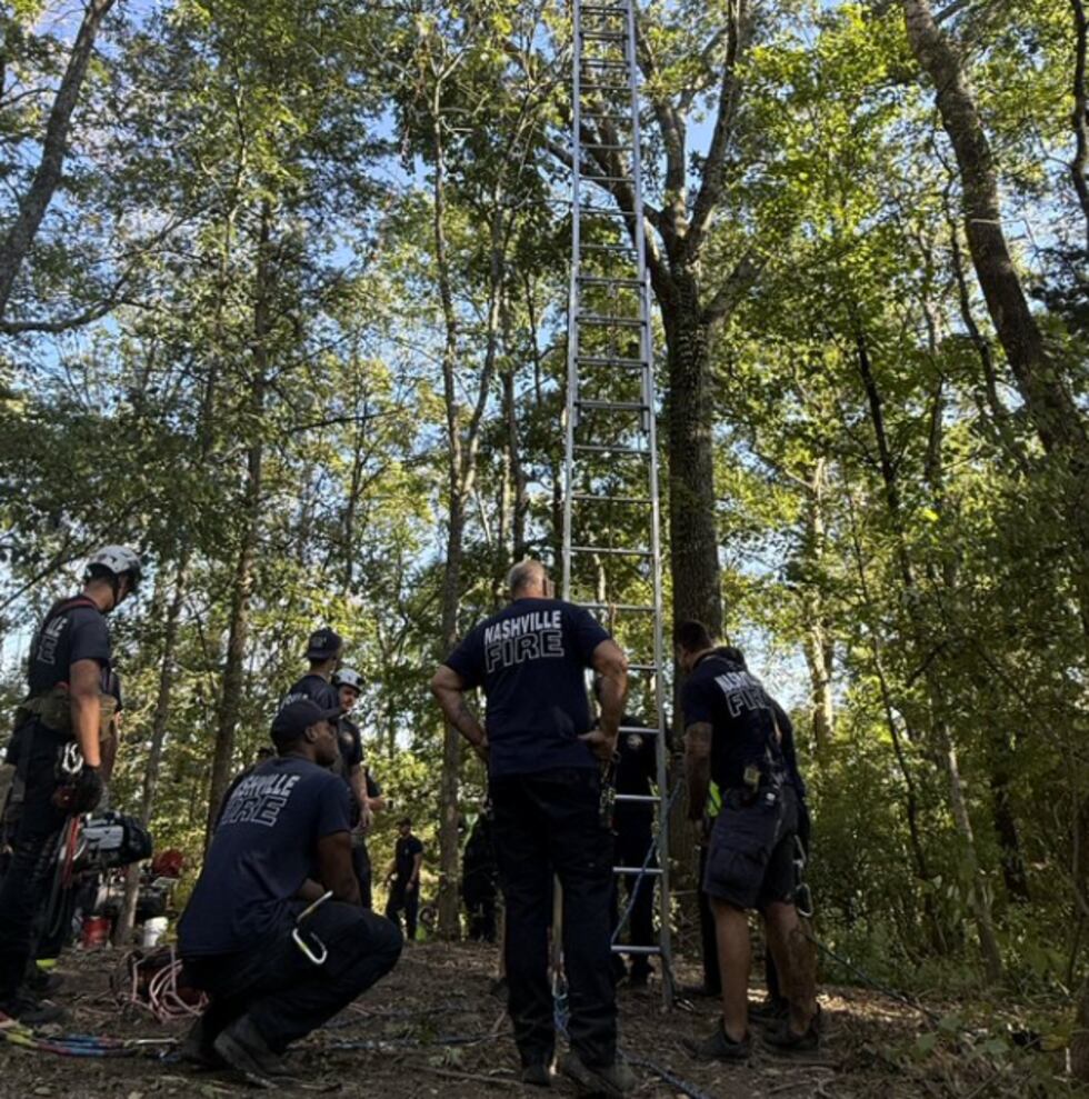 Rescatan a paracaidista que quedó atrapado en un árbol en Ashland City.