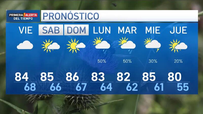 El polen continúa siendo el protagonista en nuestra región