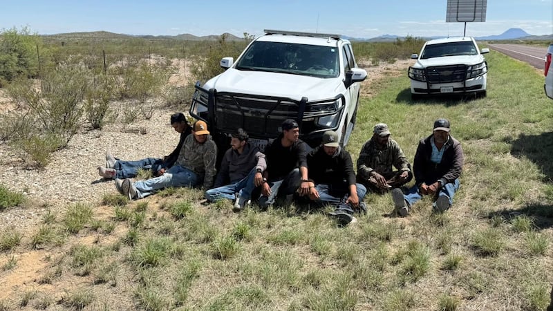 Texas man arrested for smuggling 8 illegal immigrants in Brewster County