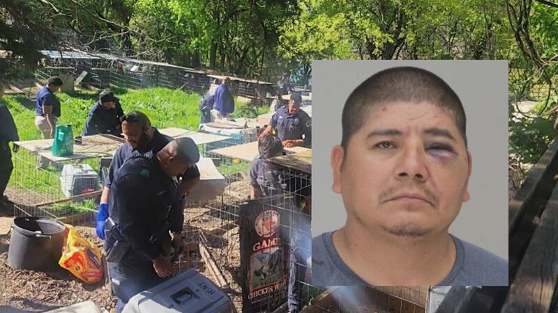 Presuntamente Betancourt estaba molesto por una apuesta perdida que involucro a un gallo de...