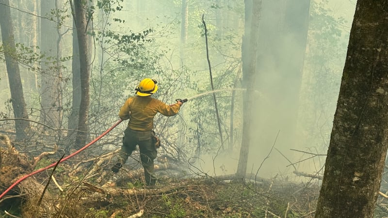 Wildfire in Daniel Boone National Forest grows to 1,100 acres, now 60% contained