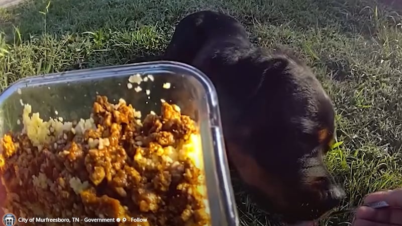 Oficial López da el ejemplo perfecto al significado “al mejor amigo del hombre”