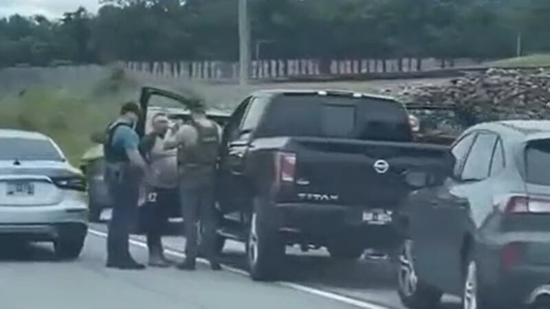 Multiple people have reportedly been detained by Immigrations and Customs Enforcement agents...