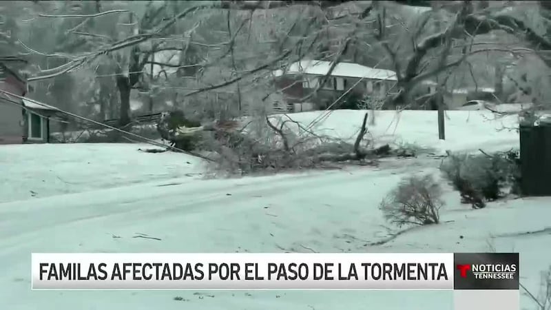 "Todo está congelado". Afectados en Madison desesperados por la falta de energía eléctrica...