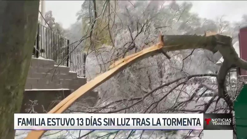 Pasamos 13 días sin luz, gastamos miles de dólares y nunca recibimos una respuesta de NES
