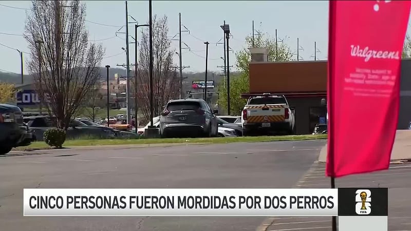 Cinco personas heridas tras el ataque de dos perros en Smyrna