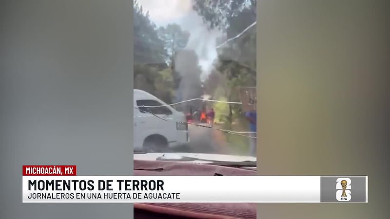 Aguacateros en Michoacán viven momentos de terror tras quedar atrapados en medio de un tiroteo