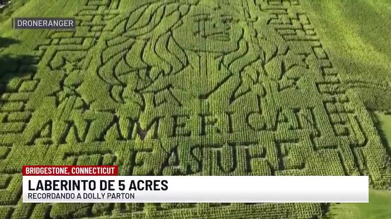 Laberinto en honor a Dolly Parton